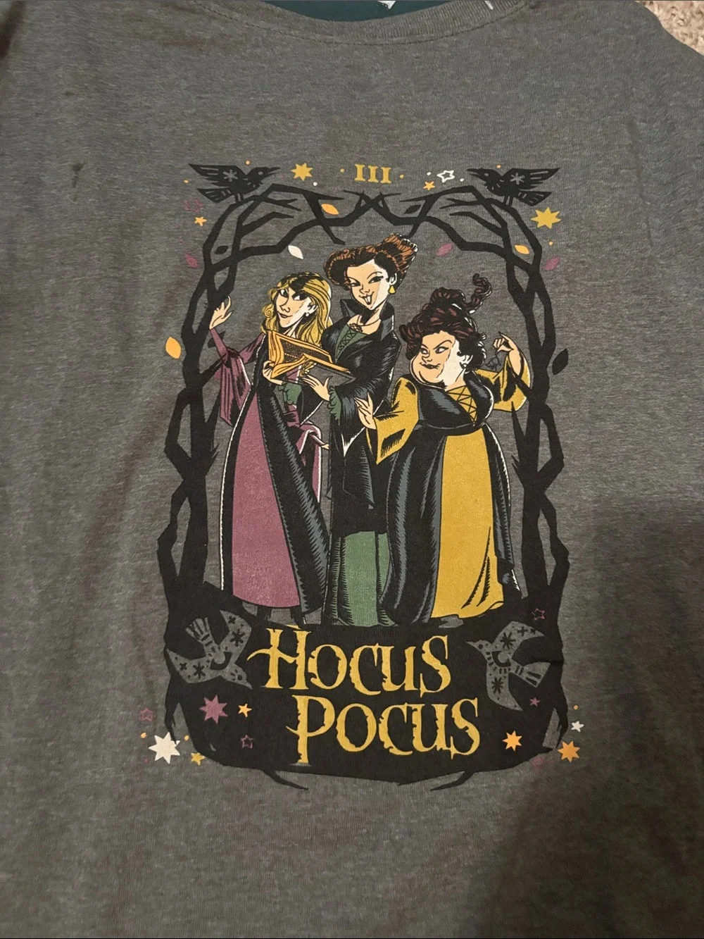 NWT Disney Hocus Pocus dog t-shirt size XL